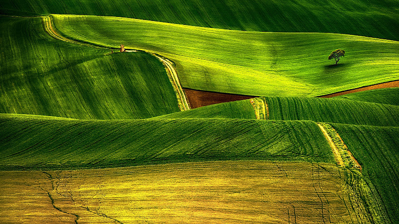 curves over landscape di amorusopasquale