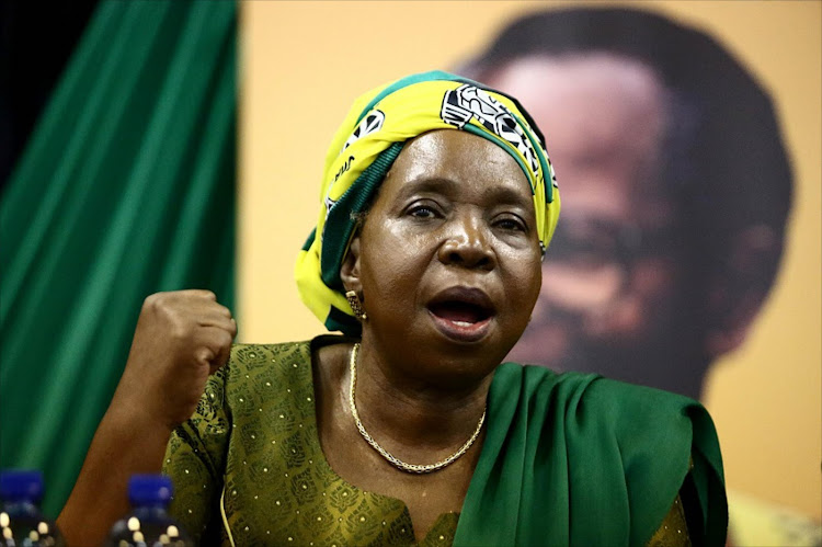 Cogta minister Nkosazana Dlamini-Zuma. File picture.