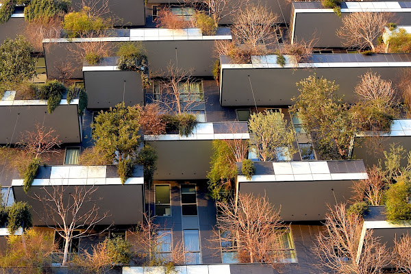 Bosco verticale di s_ornella