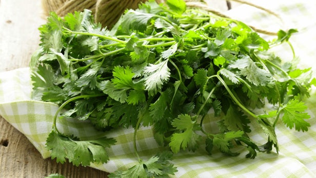 (Dania) Cilantro, also known as coriander