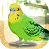 Parakeet Pet1.2