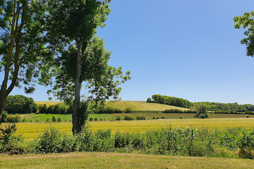 Milieu terrestre