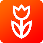 Cover Image of 下载 Flowwow flowers. Delivery of flowers and sweets 2.4.6 APK