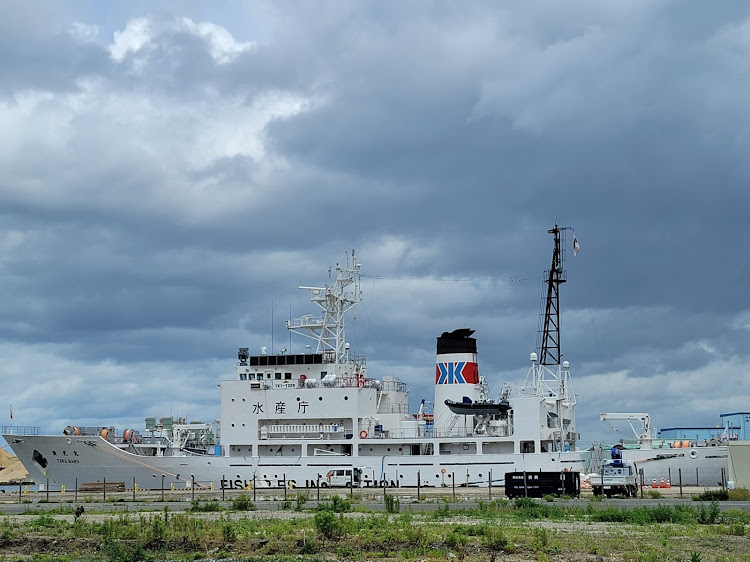 クラウンアスリートの水産庁の船🚢・ワンココンテナ🐶🐶・ポートタワー🗼・パーコアニバーサリースペシャルエディション👑・Jun Styleに関するカスタム事例の投稿画像2枚目