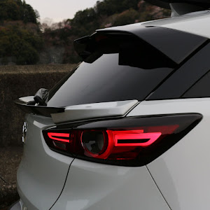 CX-3 DK5FW