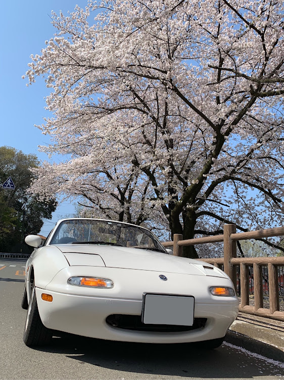 strollerさんが投稿した連投すいませんに関するカスタム事例の投稿画像1枚目