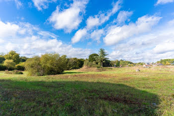 terrain à Saint-Laurent-en-Gâtines (37)