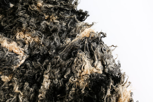 miniatures image - 2