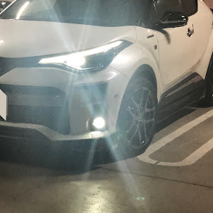 C-HR ZYX11