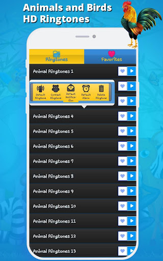 Animal Ringtones 2020 - birds morning sounds