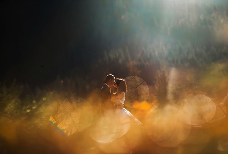 Wedding photographer Tetiana Derkach (posmishkaphoto). Photo of 16 October 2018