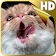 Cat Shake HD Live Wallpaper icon