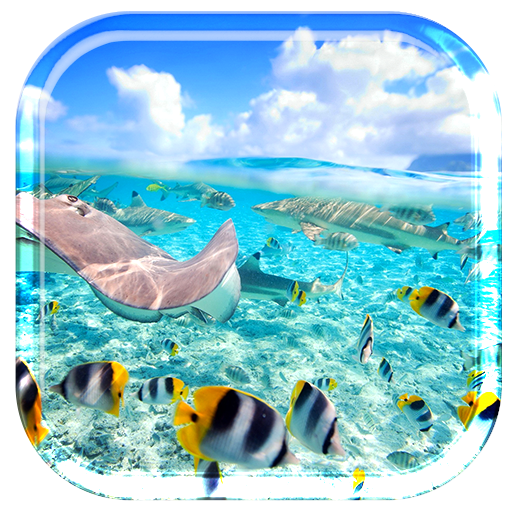 カリブ島オーシャントロピック 個人化 App LOGO-APP開箱王