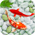 KOI Fish Live Wallpaper : New fish Wallpaper 20202.1