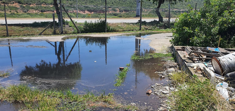 Raw sewage has flooded a Uitenhage business’s premises