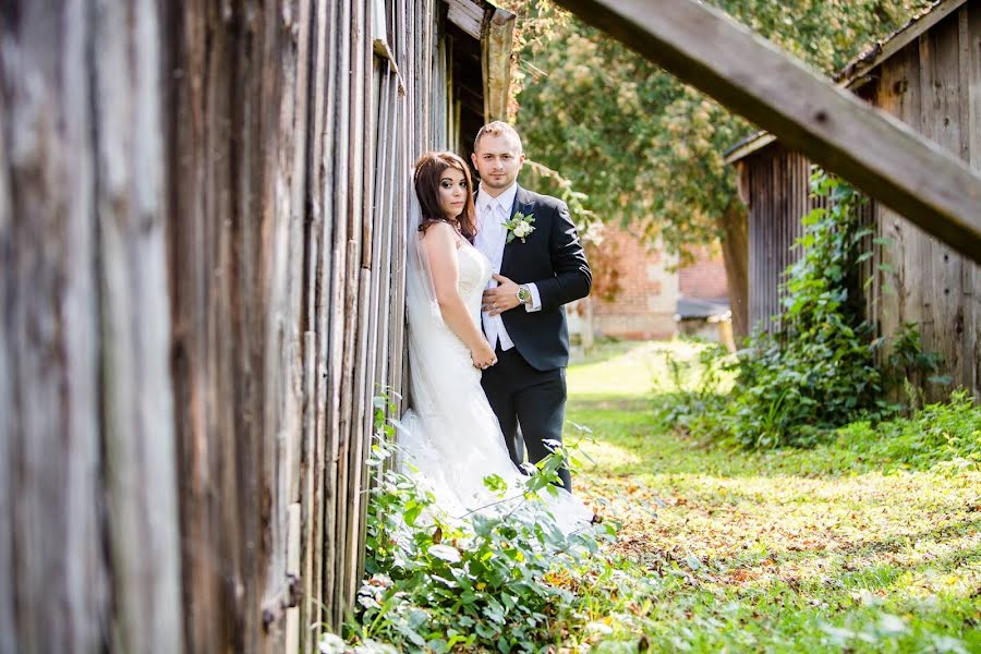 Fotograf ślubny Michael Filippo (michaelfilippo). Zdjęcie z 10 maja 2019