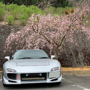 RX-7 FD3S 後期