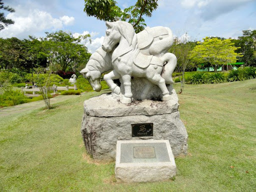 The Chinese Japanese Gardens Singapore2010