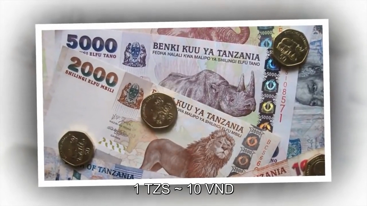 Tờ tiền Shilling của Tanzania được chọn là những đồng tiền đẹp nhất thế giới vì ở các tờ Shilling vừa mang tính thống nhất trong các bộ tiền vừa mang nét đặc trưng riêng của từng mệnh giá. Đa số các tờ tiền Shilling đều in hình các linh vật của đất nước Tanzania.