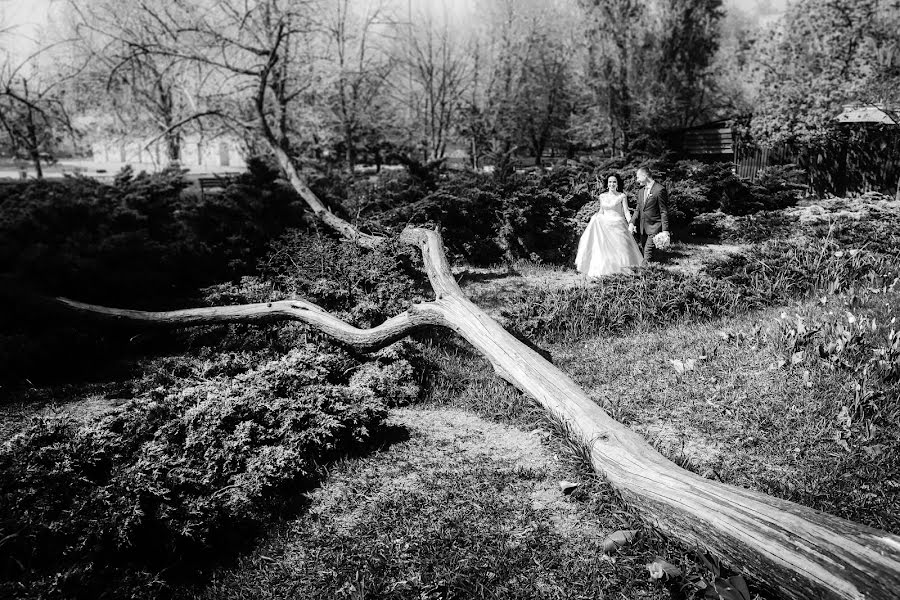 Photographe de mariage Anna Artemeva (artemyeva). Photo du 16 décembre 2018