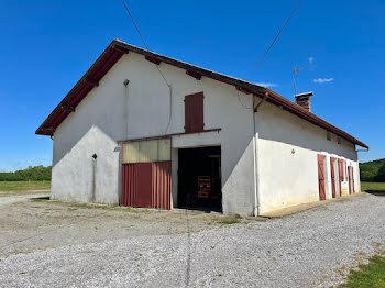 ferme à Saint-Martin-de-Hinx (40)