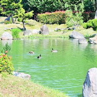 澄霖沉香味道森林館