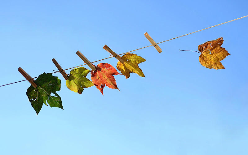 Bucato di ottobre di Dariagufo