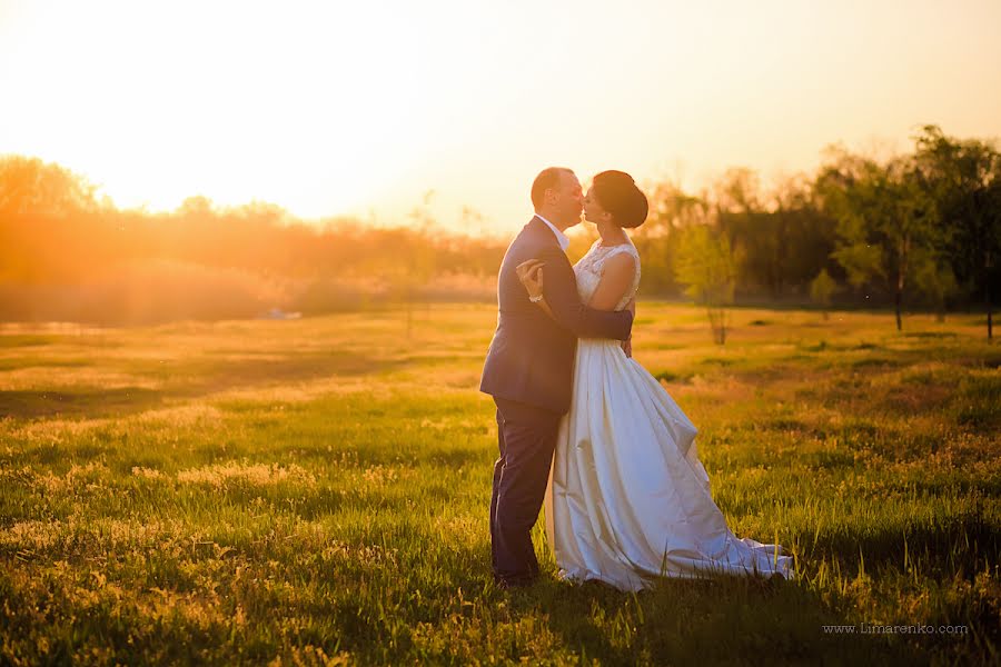 Wedding photographer Darina Limarenko (andriyanova). Photo of 11 June 2014