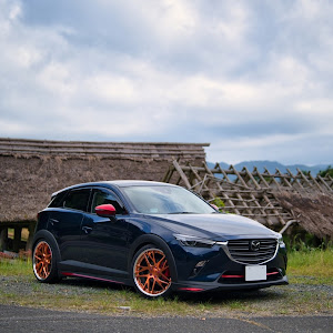 CX-3 DKEFW