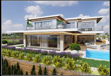 House with pool and terrace 3