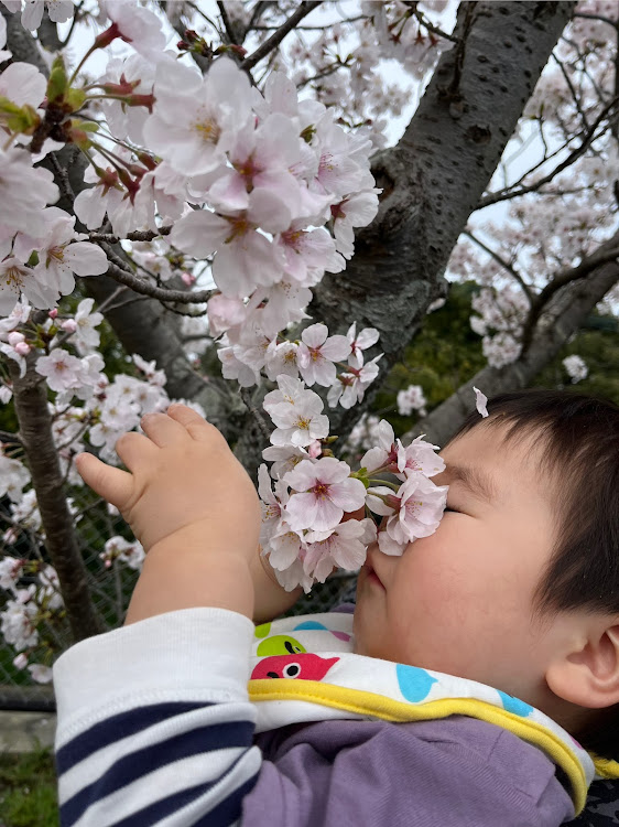 の投稿画像4枚目