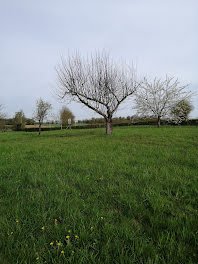 terrain à Boissey (01)