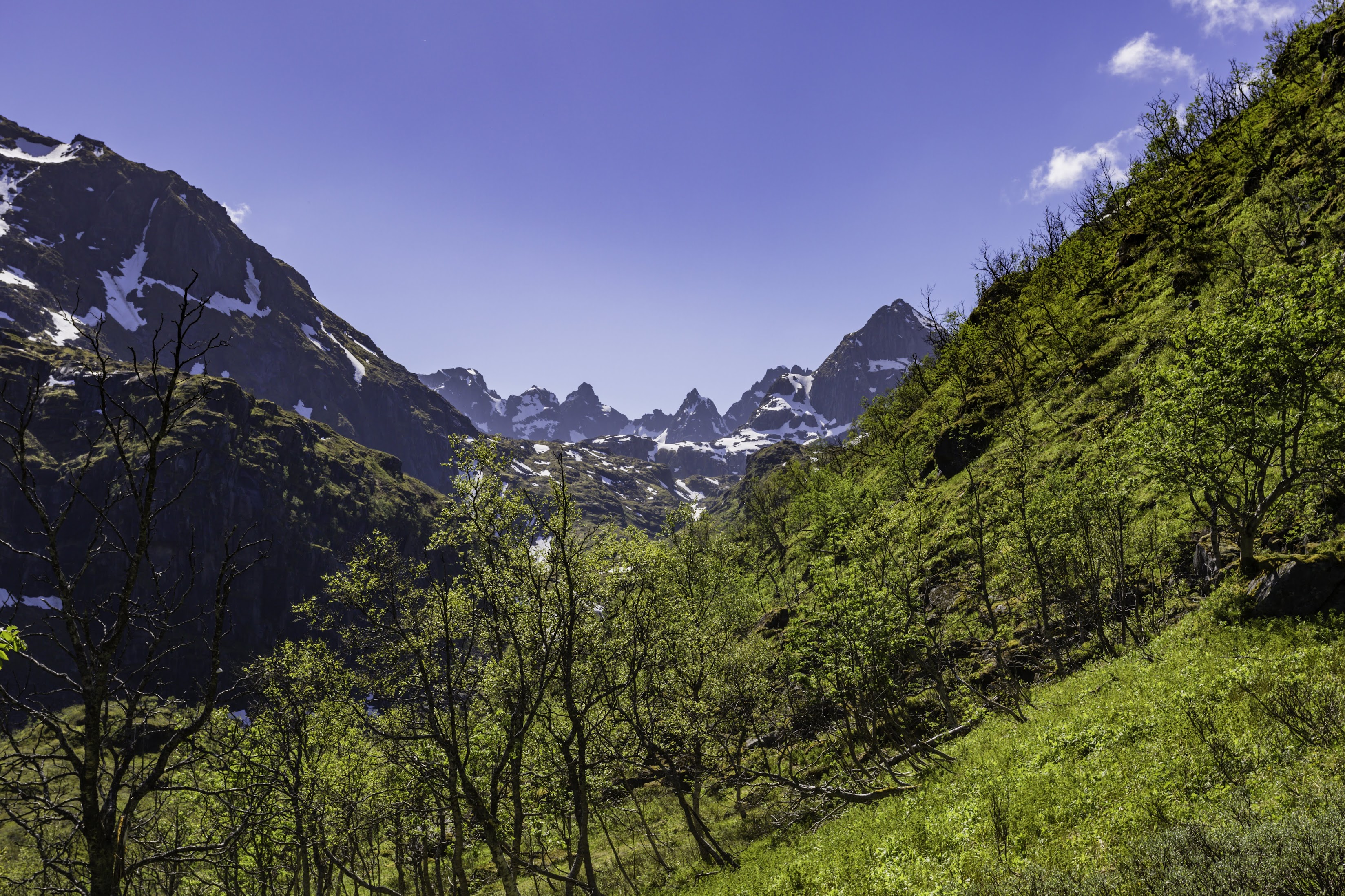 Острова в облаках. Отложенные маршруты (Svartisen, Værøy, Trollfjordhytta - много фото)