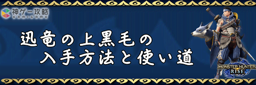 迅竜の上黒毛