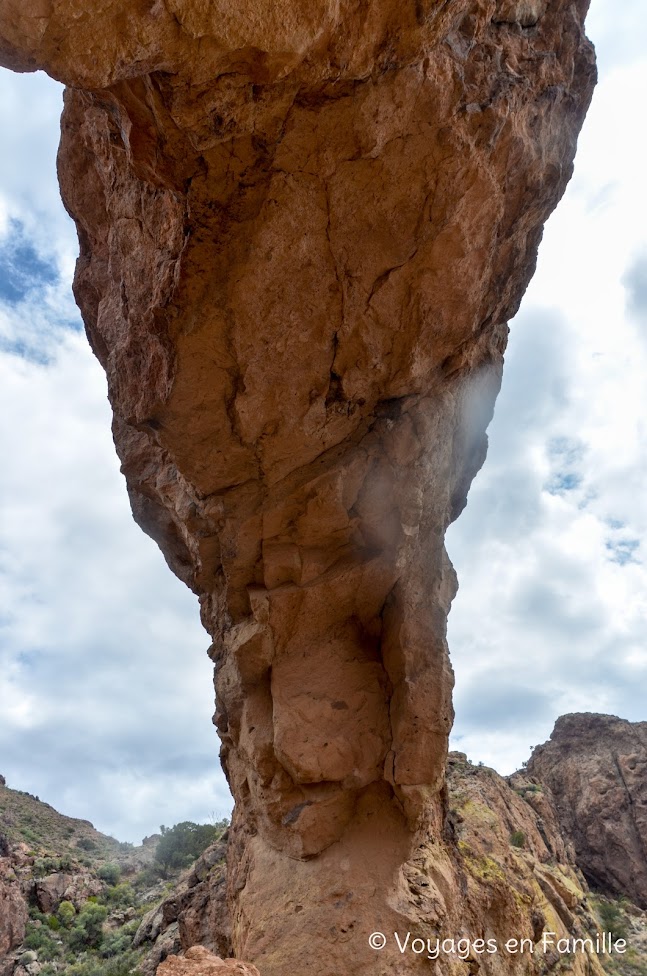 Arch trail, organ pipe cactus NM