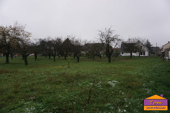 terrain à batir à Jebsheim (68)