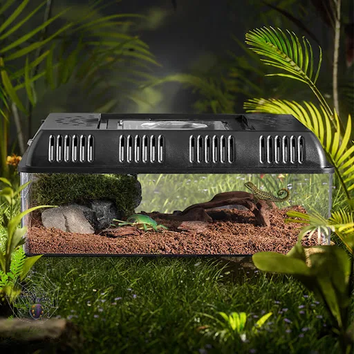images slider number - 4