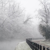 nebbia sul naviglio di 