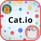 cat.io 1.3