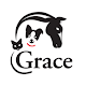 Download Grace Animal Hospital For PC Windows and Mac 300000.2.37