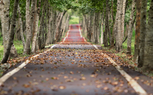 Silk Road screenshot 1