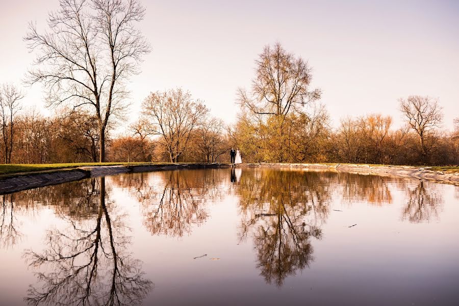 Fotograf ślubny Aleksandra Podlińska (kolorowekadry). Zdjęcie z 26 stycznia 2019