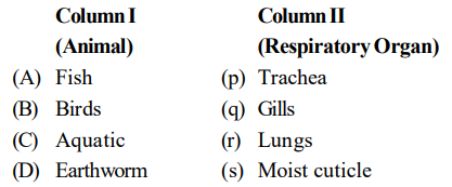 Breathing And Respiration