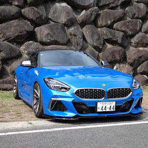 Z4 ロードスター G29