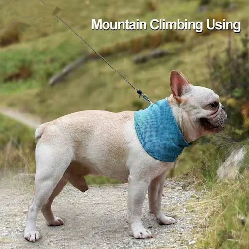 images slider number - 4