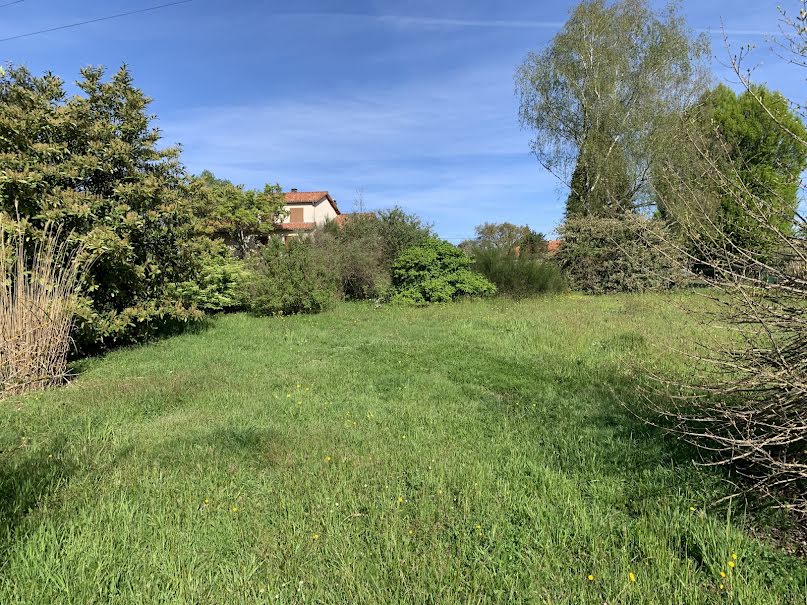 Vente terrain  1097 m² à Le Palais-sur-Vienne (87410), 81 000 €