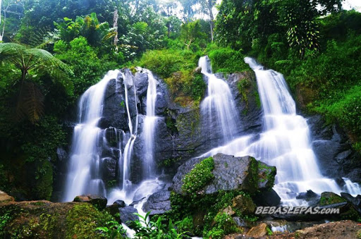 air terjun in english