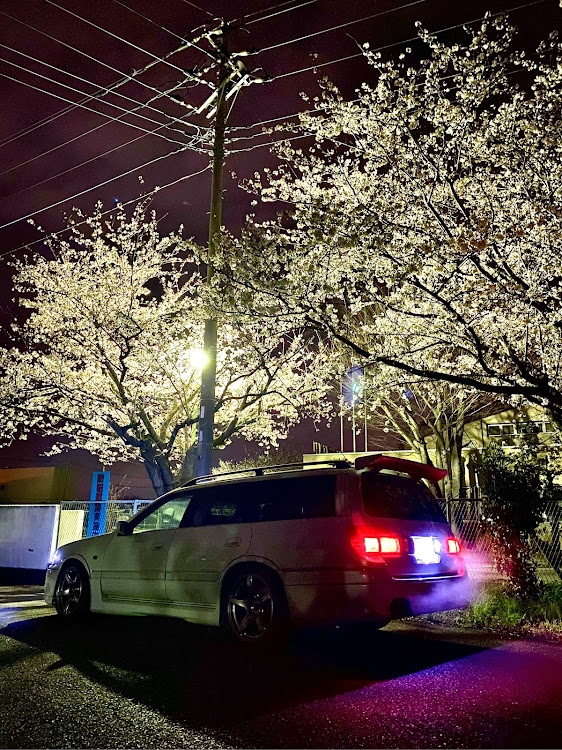 ステージアの桜に関するカスタム事例の投稿画像2枚目