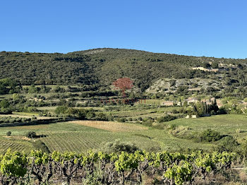 terrain à Montpeyroux (34)