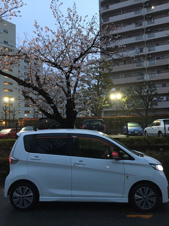 デイズのデイズで桜の名所に行ったよ🚙💨に関するカスタム事例の投稿画像2枚目